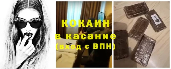 спиды Вяземский