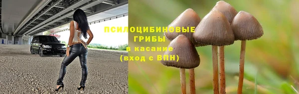 a pvp Вязьма