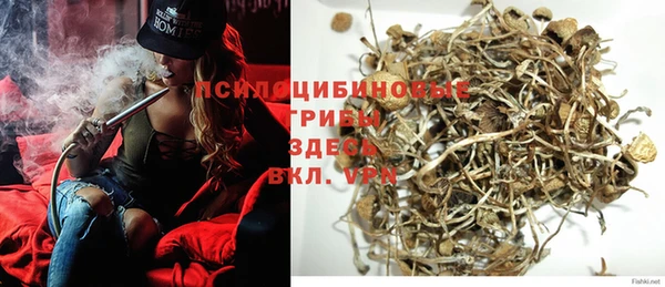 спиды Вяземский