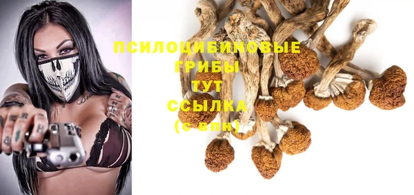 спиды Вяземский