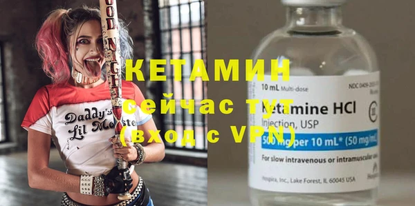 спиды Вяземский