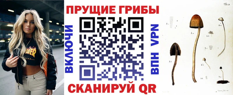 купить закладку  Вязьма  hydra ТОР  нарко площадка клад  Псилоцибиновые грибы MAGIC MUSHROOMS 