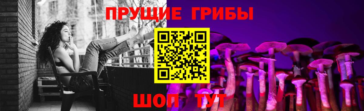 Вязьма  наркотики  Галлюциногенные грибы MAGIC MUSHROOMS  Вход с VPN  Галлюциногенные грибы Psilocybine cubensis 