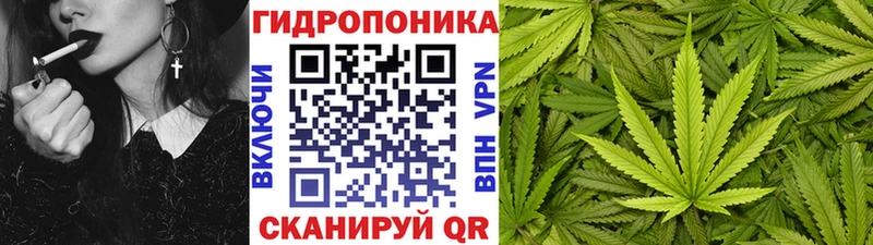 дарнет шоп  Вязьма  Конопля Amnesia 